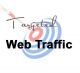 TargetedWebTraffic.com