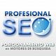 ProfesionalSEO76