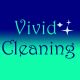 vividcleaning